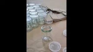 Glass Pudding Jars