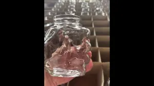 Glass Water Bottles