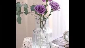 Glass Vases