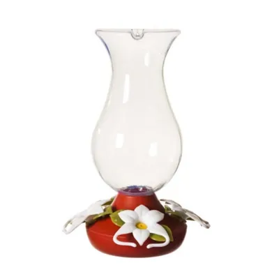 Glass Bird Feeders