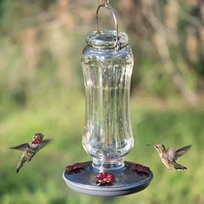 Glass Bird Feeders