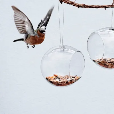 Glass Bird Feeders
