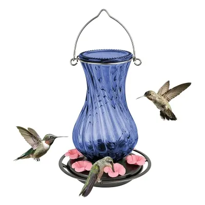 Glass Bird Feeders