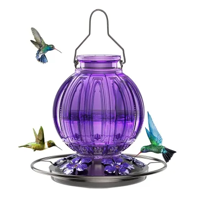 Glass Bird Feeders