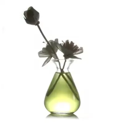 Glass Reed Diffuser Bottles