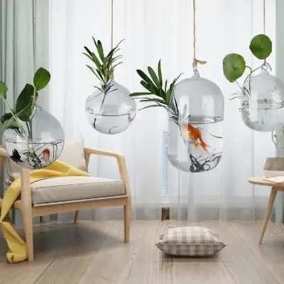 Hydroponic Plant Glass Vases & Glass Flower Pots