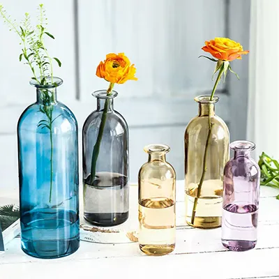 Hydroponic Plant Glass Vases