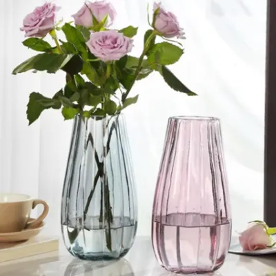 Hydroponic Plant Glass Vases & Glass Flower Pots