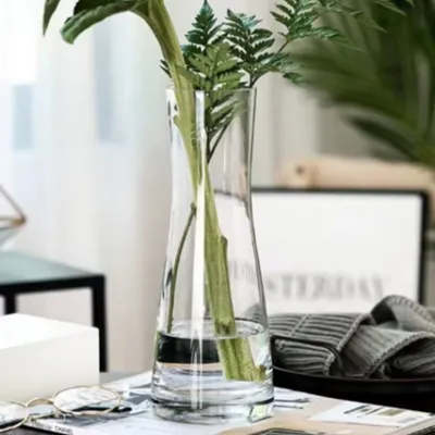 Hydroponic Plant Glass Vases & Glass Flower Pots