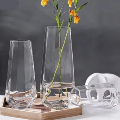 Hydroponic Plant Glass Vases & Glass Flower Pots