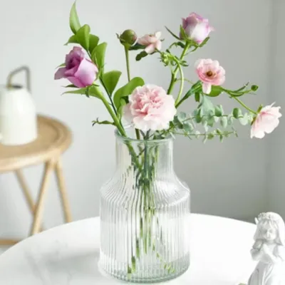 Hydroponic Plant Glass Vases & Glass Flower Pots