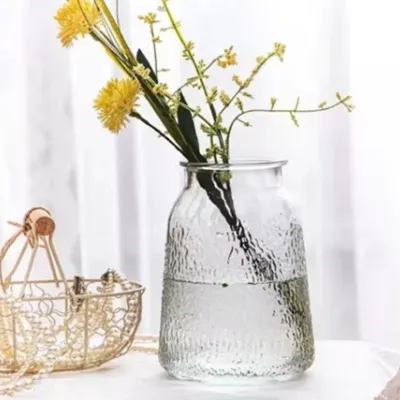 Hydroponic Plant Glass Vases & Glass Flower Pots