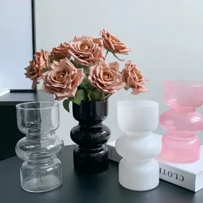 Hydroponic Plant Glass Vases & Glass Flower Pots