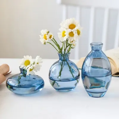 Hydroponic Plant Glass Vases & Glass Flower Pots