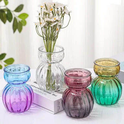 Hydroponic Plant Glass Vases & Glass Flower Pots