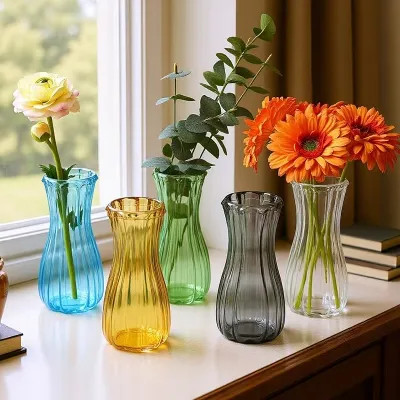 Hydroponic Plant Glass Vases & Glass Flower Pots