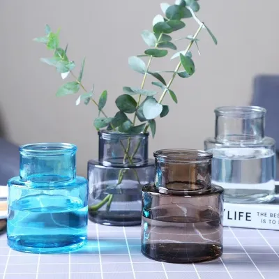 Hydroponic Plant Glass Vases & Glass Flower Pots