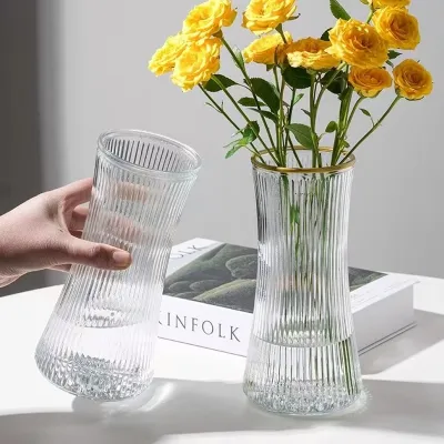 Hydroponic Plant Glass Vases & Glass Flower Pots